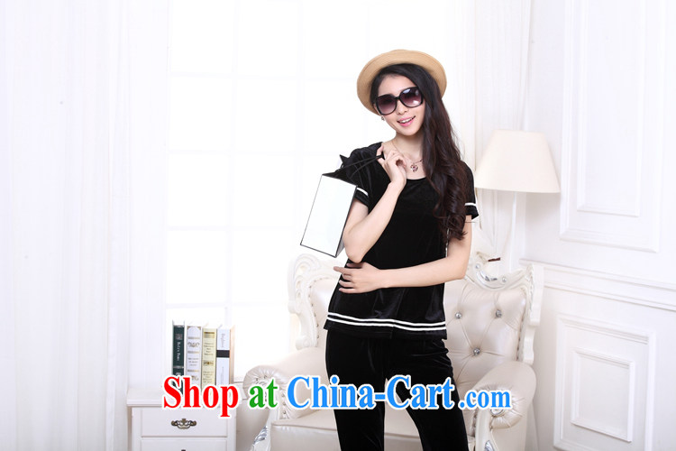 The sheep Yi Library summer 2014 new women, women Kit velvet-simple and stylish 5 girls sweater girls pants set 1551 black XXXXL pictures, price, brand platters! Elections are good character, the national distribution, so why buy now enjoy more preferential! Health