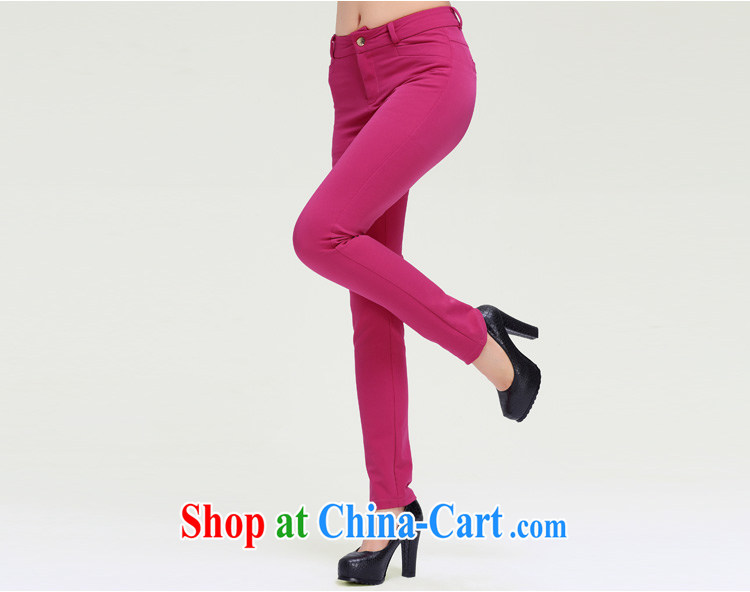 Slim, Mr Big, women fall 2014 with new, thick mm stylish slim body solid castor pants long pants Y - 2301 brown L pictures, price, brand platters! Elections are good character, the national distribution, so why buy now enjoy more preferential! Health