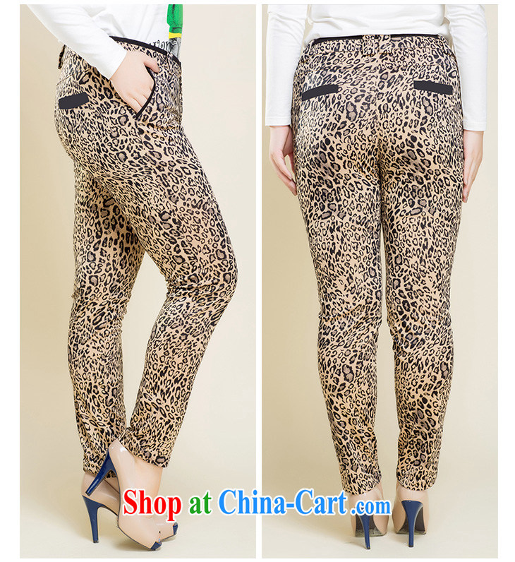 Slim LI Sau 2014 autumn new, larger female sexy Leopard stretch cultivating castor solid pencil trousers Q 3087 orange XL pictures, price, brand platters! Elections are good character, the national distribution, so why buy now enjoy more preferential! Health