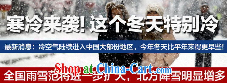 Solabe/in the drop-down at the code women mm thick Autumn with new Korean large, round-neck collar long-sleeved the lint-free cloth cultivating solid shirt T pension 7566 black 3 XL pictures, price, brand platters! Elections are good character, the national distribution, so why buy now enjoy more preferential! Health