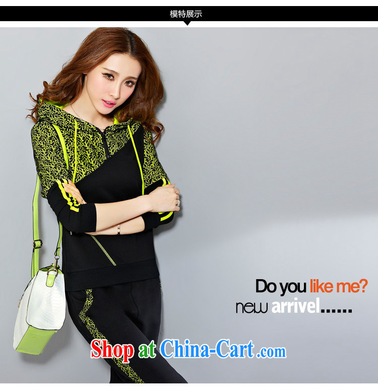 The rate of fall and winter with new Korean version of the greater, female-lace sweater thick MM and indeed intensify, stylish beauty Sports & Leisure package 8033 BMW blue L pictures, price, brand platters! Elections are good character, the national distribution, so why buy now enjoy more preferential! Health