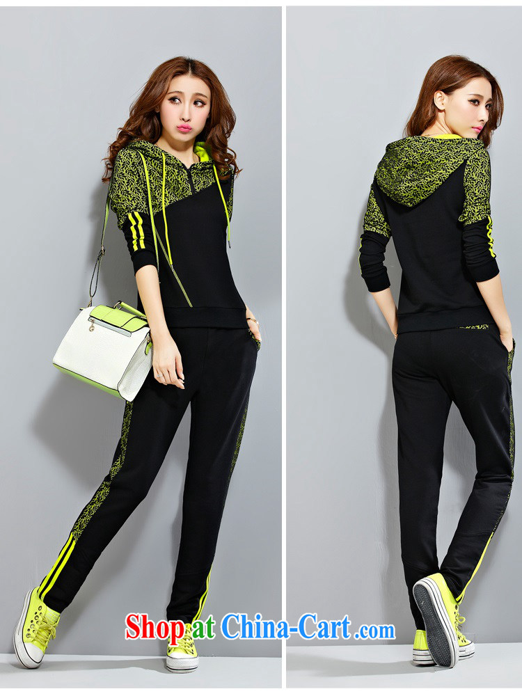 The rate of fall and winter with new Korean version of the greater, female-lace sweater thick MM and indeed intensify, stylish beauty Sports & Leisure package 8033 BMW blue L pictures, price, brand platters! Elections are good character, the national distribution, so why buy now enjoy more preferential! Health