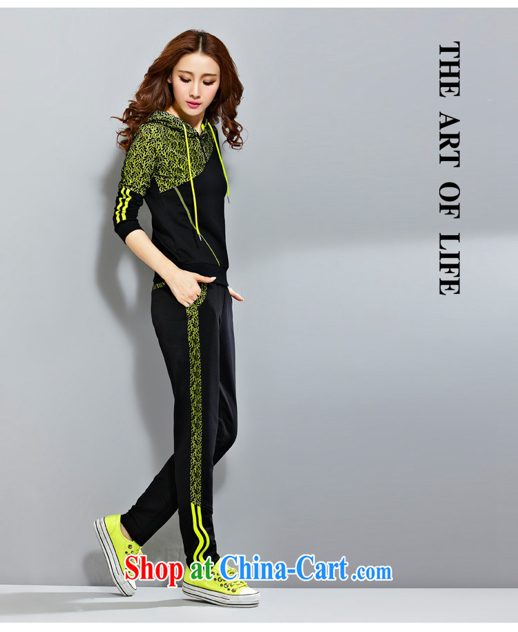 The rate of fall and winter with new Korean version of the greater, female-lace sweater thick MM and indeed intensify, stylish beauty Sports & Leisure package 8033 BMW blue L pictures, price, brand platters! Elections are good character, the national distribution, so why buy now enjoy more preferential! Health