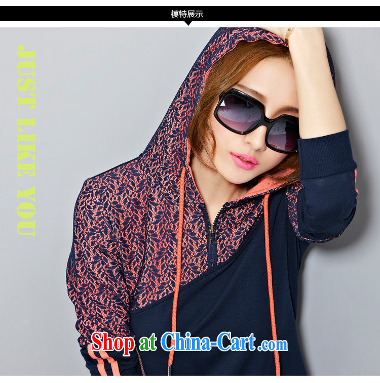 The rate of fall and winter with new Korean version of the greater, female-lace sweater thick MM and indeed intensify, stylish beauty Sports & Leisure package 8033 BMW blue L pictures, price, brand platters! Elections are good character, the national distribution, so why buy now enjoy more preferential! Health