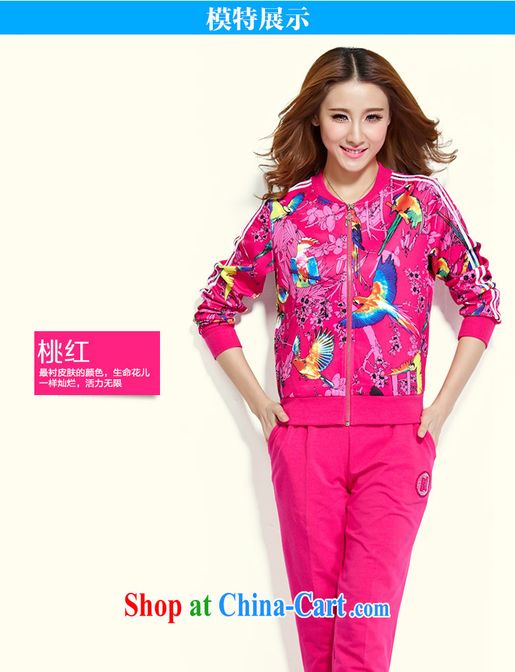 The Music of Anne early autumn new package South Korea, round-collar sport and leisure, health and clothing package the radiant with joy peach XXXL pictures, price, brand platters! Elections are good character, the national distribution, so why buy now enjoy more preferential! Health