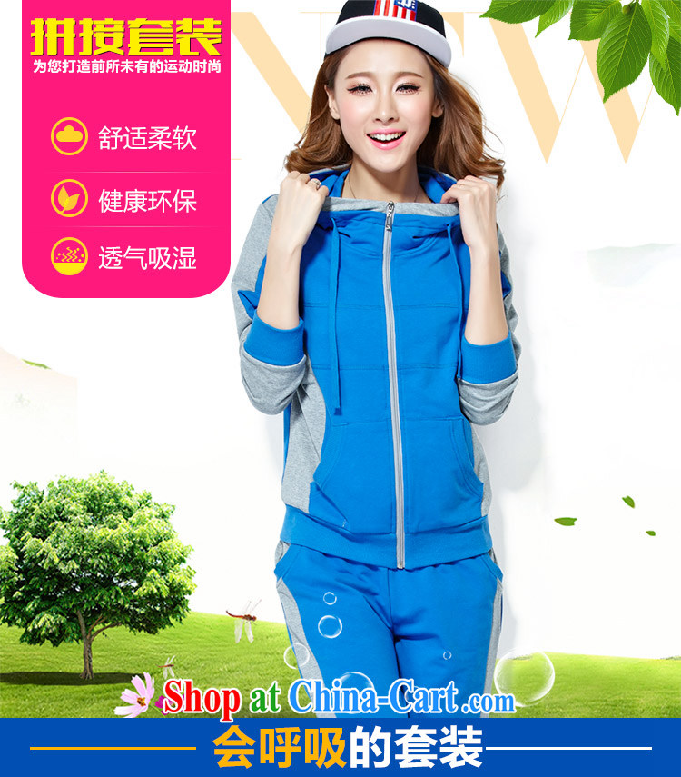 The Music of Anne spring new Korean sportswear girls spring leisure suite 2015 double-cap stitching lounge serving large, female flowers gray XXXL pictures, price, brand platters! Elections are good character, the national distribution, so why buy now enjoy more preferential! Health