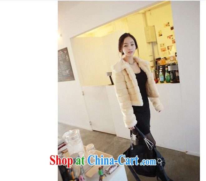 Blue Fox fall and winter with new stylish sweet Lady style lapel artificial fur 100 ground jacket long-sleeved Koosh coat apricot XL pictures, price, brand platters! Elections are good character, the national distribution, so why buy now enjoy more preferential! Health