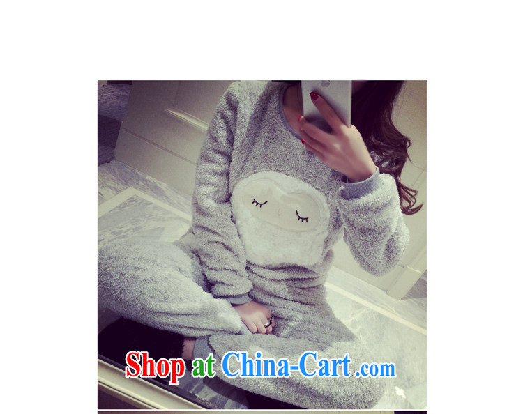 The ethnic cleansing winter clothing new, thick lovely sleep soundly owl coral pajamas home service kit 3628 #picture color code pictures, price, brand platters! Elections are good character, the national distribution, so why buy now enjoy more preferential! Health