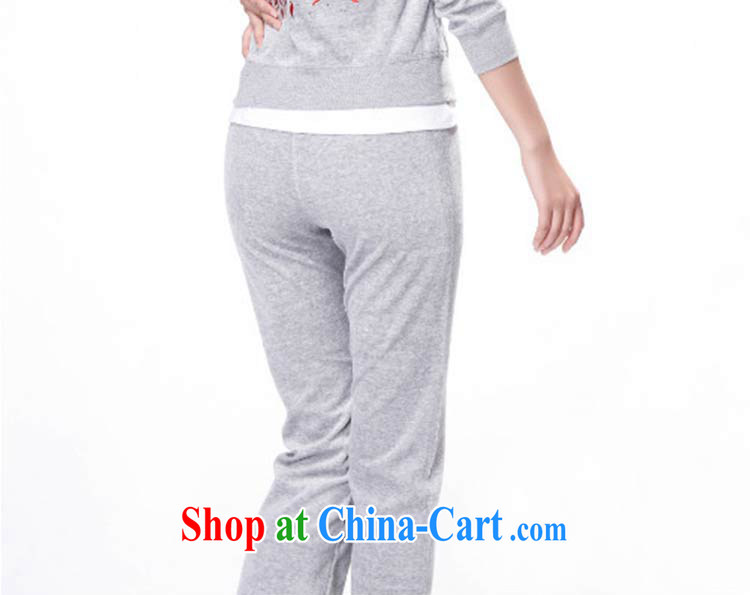 The Superintendent 2015 new female velvet sportswear sport and leisure service package the code ladies dark blue XL pictures, price, brand platters! Elections are good character, the national distribution, so why buy now enjoy more preferential! Health