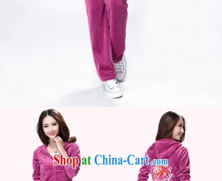 The Superintendent 2015 new female velvet sportswear sport and leisure service package the code ladies dark blue XL pictures, price, brand platters! Elections are good character, the national distribution, so why buy now enjoy more preferential! Health