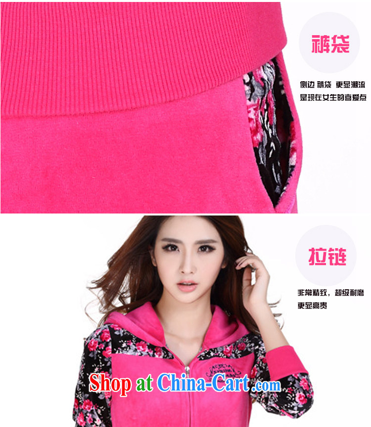 The Superintendent new jacket Kit leisure video thin velvet stamp beauty cap female mauve XL pictures, price, brand platters! Elections are good character, the national distribution, so why buy now enjoy more preferential! Health