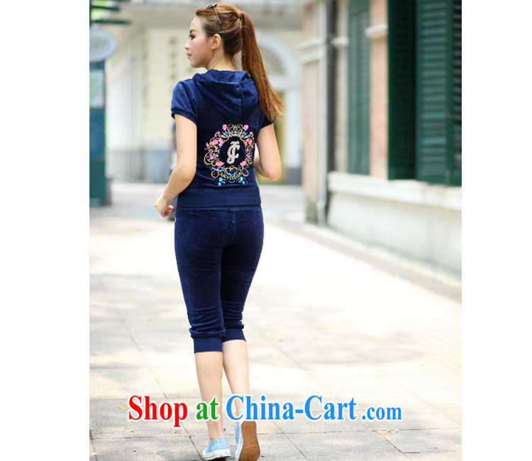 The superintendent, Yi Girls 2015 summer new, short-sleeved shorts casual sweater Kit female double-cap 2 piece velvet sportswear summer girl, purple L pictures, price, brand platters! Elections are good character, the national distribution, so why buy now enjoy more preferential! Health