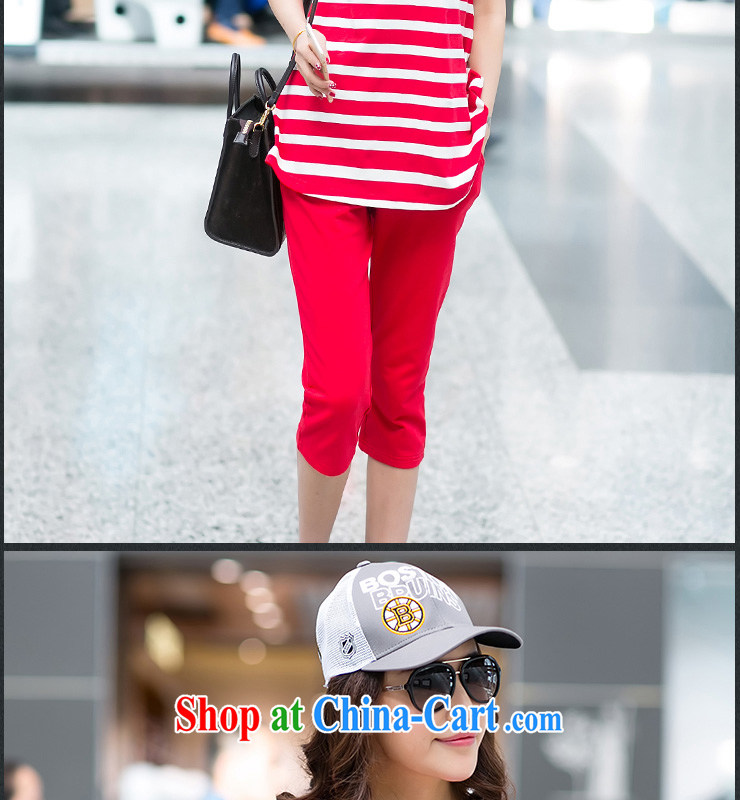 Elizabeth's Kosovo savoil large, thick mm female summer cotton stripe sport and leisure package stretch sweater Kit v 8001 red 3 XL pictures, price, brand platters! Elections are good character, the national distribution, so why buy now enjoy more preferential! Health