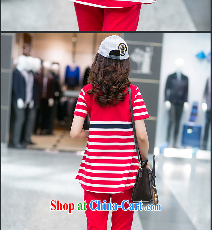 Elizabeth's Kosovo savoil large, thick mm female summer cotton stripe sport and leisure package stretch sweater Kit v 8001 red 3 XL pictures, price, brand platters! Elections are good character, the national distribution, so why buy now enjoy more preferential! Health