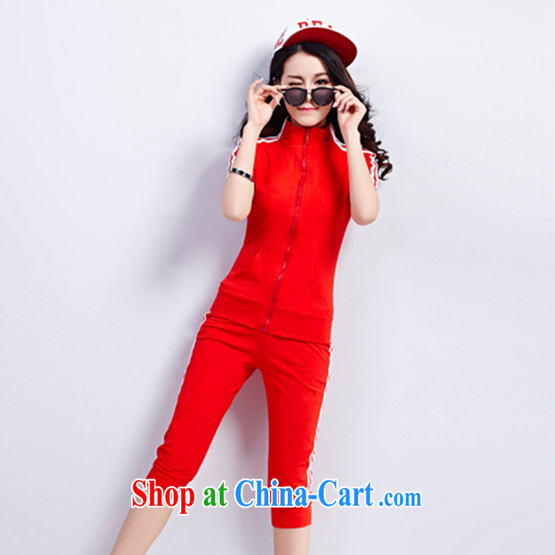 Blue Fox summer new stylish and the disposition code version won the collar zipper sweater girls two-piece simple sport and leisure short-sleeved 7 Trouser press kit female Red XXXL, blue Fox (Lancaihu), and shopping on the Internet