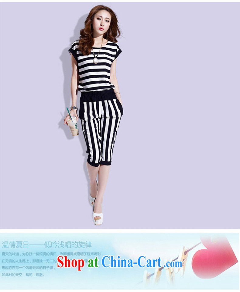 Skirt color streaks cabinet Korean short-sleeve casual stylish campaign kit 5832 black-and-white striped short L pictures, price, brand platters! Elections are good character, the national distribution, so why buy now enjoy more preferential! Health