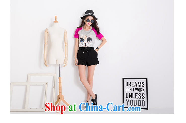The honey and diverse thick mm King Size Code women summer 2015 new collision color kitten stamp loose large short-sleeved shirt T women 9276 black XXL pictures, price, brand platters! Elections are good character, the national distribution, so why buy now enjoy more preferential! Health