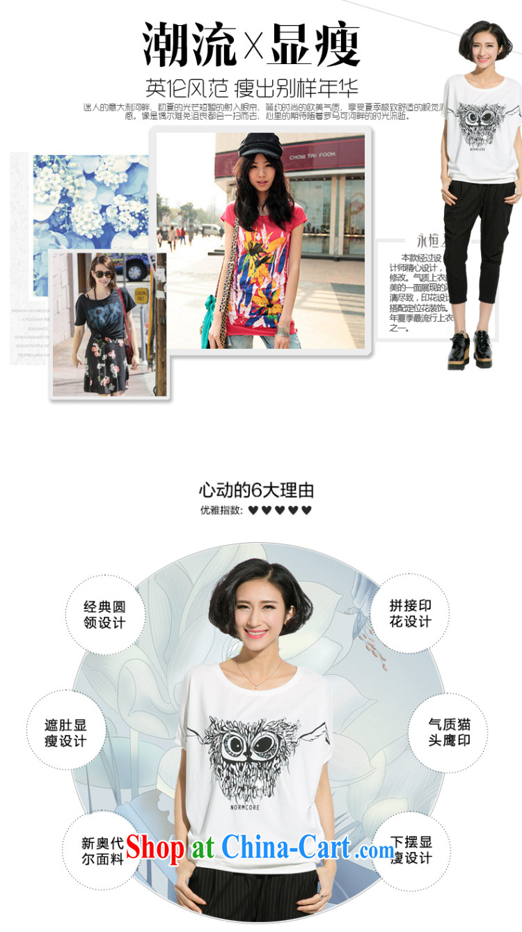 Eternal show Summer 2015 mm thick new, larger female personality owl stamp bat sleeves video thin T pension white XL pictures, price, brand platters! Elections are good character, the national distribution, so why buy now enjoy more preferential! Health