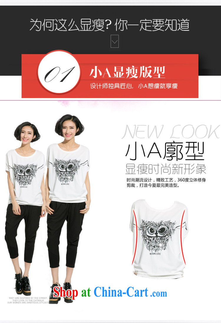 Eternal show Summer 2015 mm thick new, larger female personality owl stamp bat sleeves video thin T pension white XL pictures, price, brand platters! Elections are good character, the national distribution, so why buy now enjoy more preferential! Health