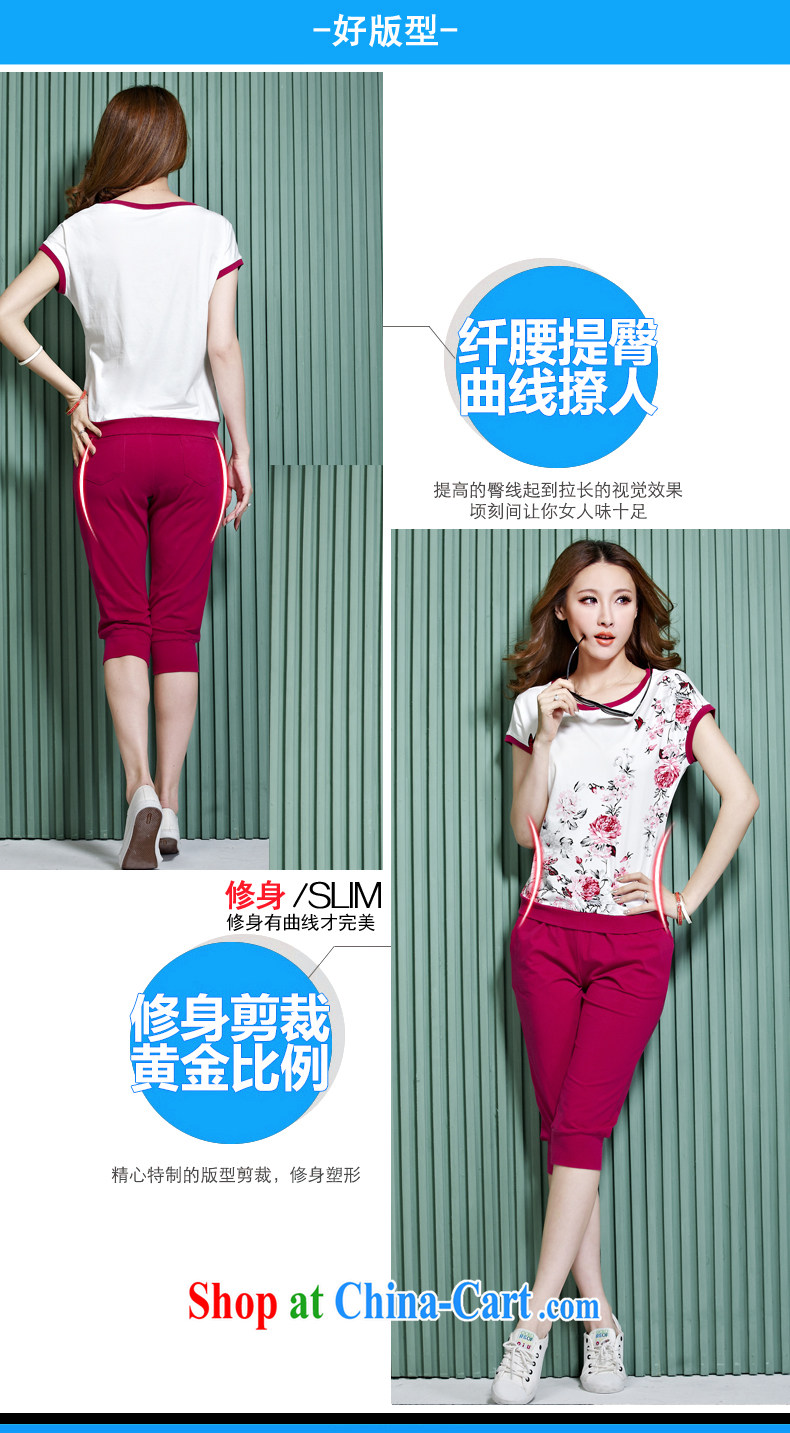 According to Dan vines into summer 2015, the code female 7 pants Leisure package Women 3151 Ko Yo red L pictures, price, brand platters! Elections are good character, the national distribution, so why buy now enjoy more preferential! Health